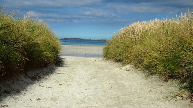 Un sentier de sable bordé d’herbes hautes, qui mène à une mer calme sous un ciel partiellement nuageux.