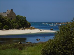 Ranta