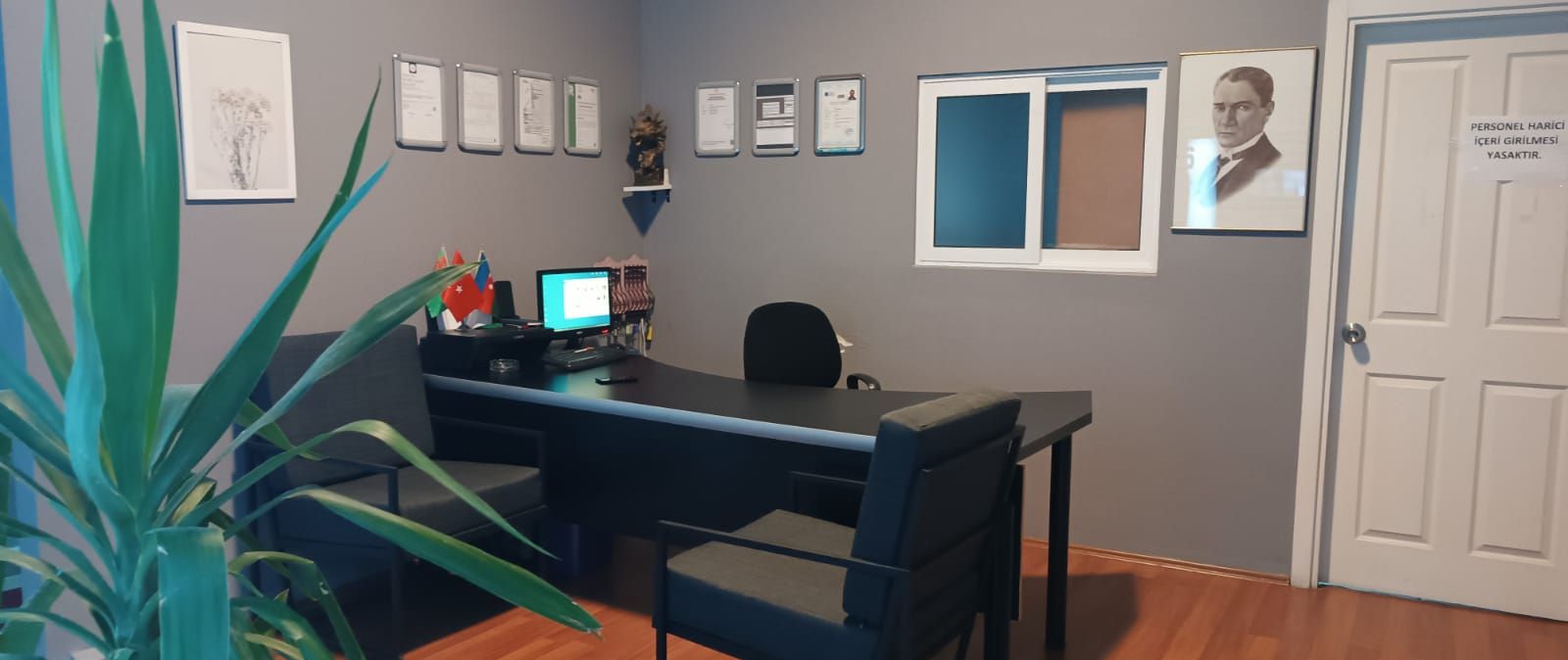 Habitación con escritorio, computadora, silla y planta en maceta.