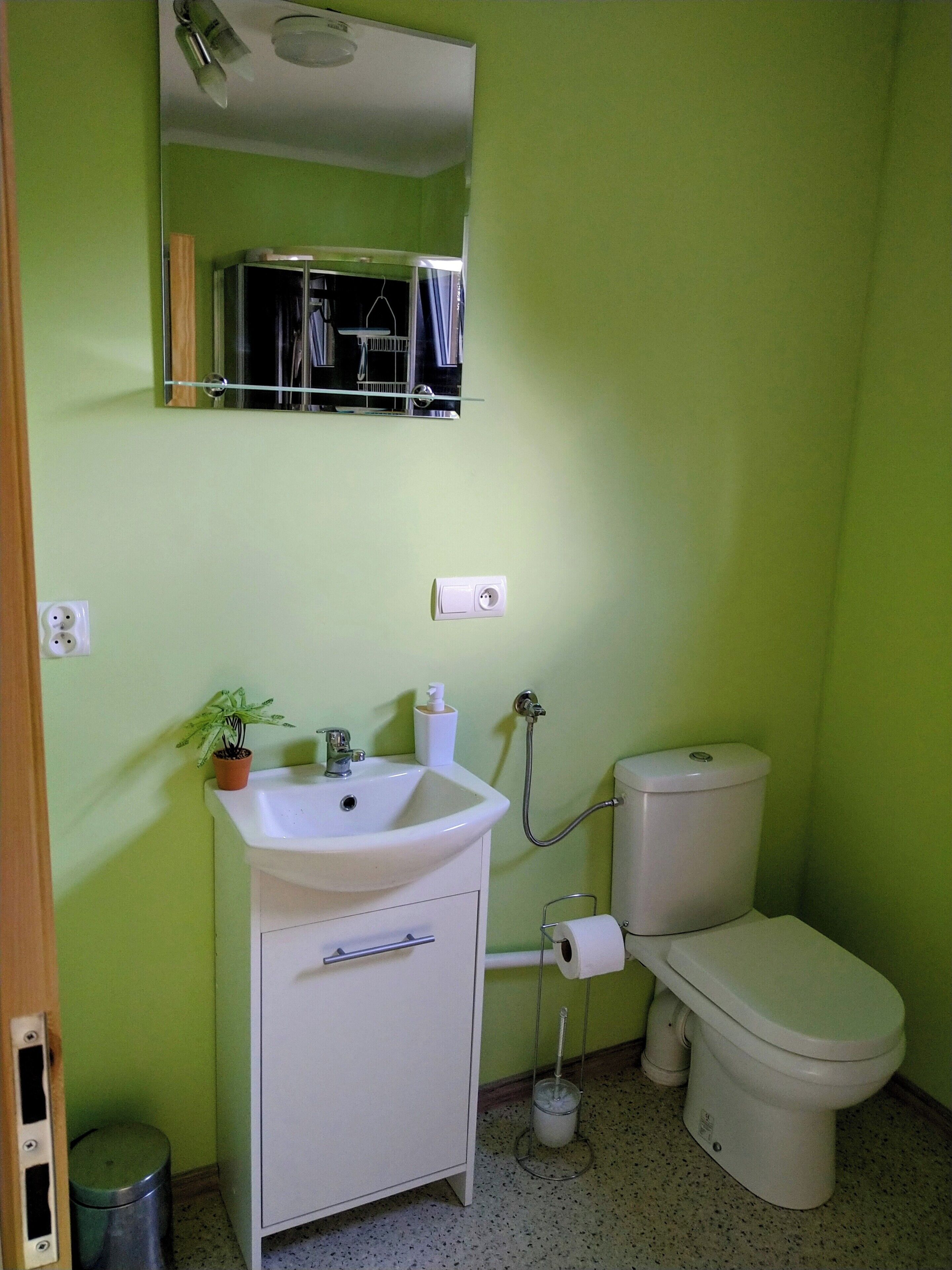 A bathroom with a white sink, toilet, and a mirror above the sink.