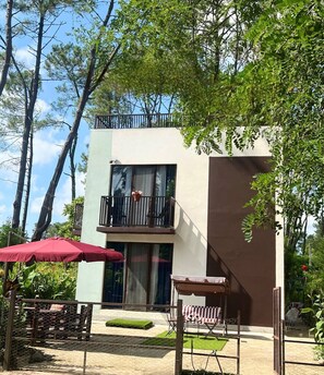 Property grounds - Tranquil 2-bedroom apartment in Shekvetili with AC, WiFi (Shekvetili)