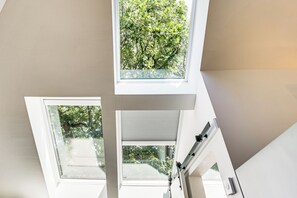 A room with skylights and a view of trees outside.