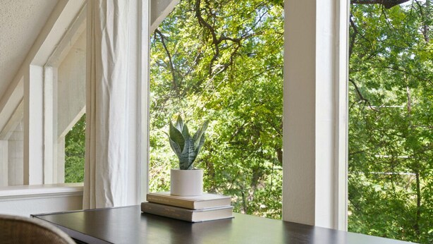 Habitación con ventana que da a un árbol verde y frondoso. Una pequeña planta en maceta está sobre una mesa junto a la ventana.