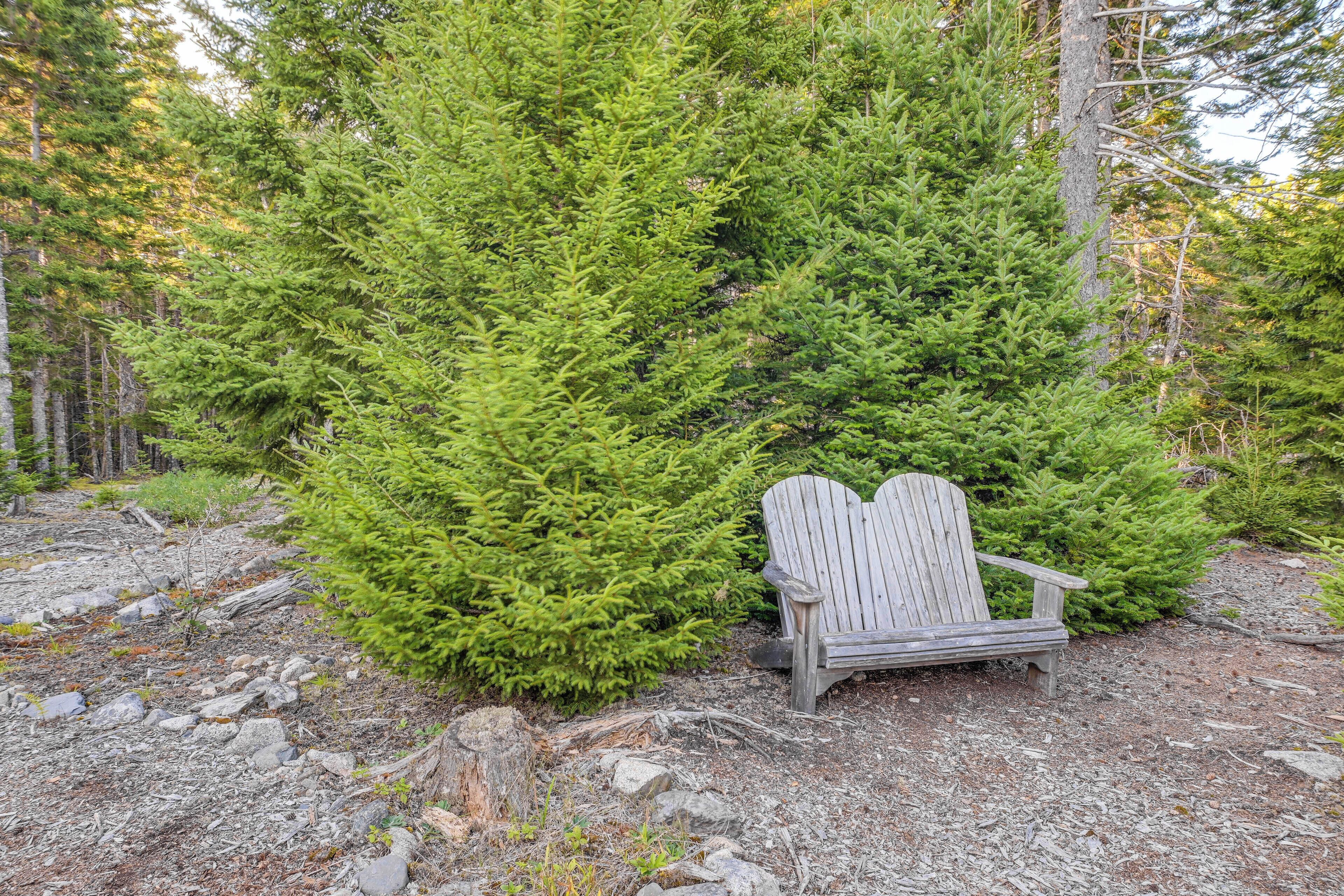 A wooden Adirondack chair in a forested area with a rocky ground.