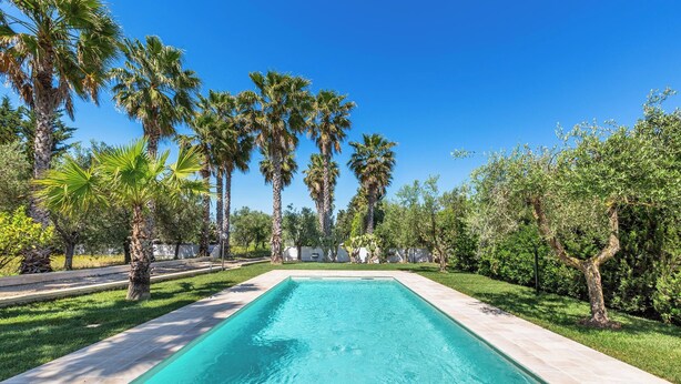 A rectangular swimming pool with clear blue water, surrounded by a well-maintained lawn and palm trees. - 4024 Casina Litta by Barbarhouse (Cutrofiano)