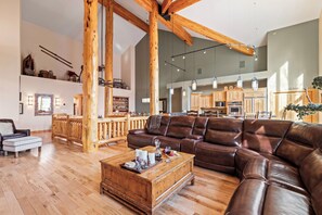 智能电视、壁炉、DVD 播放器