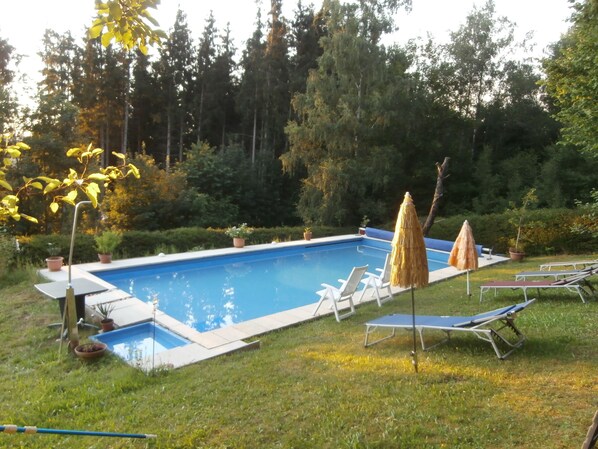 Une piscine entourée de verdure et d’arbres, avec des chaises longues et des parasols.