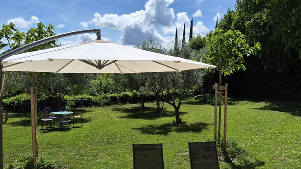 Une table et des chaises en bois, placées sous un grand parasol, entourées d’une pelouse avec des arbres et un ciel dégagé.