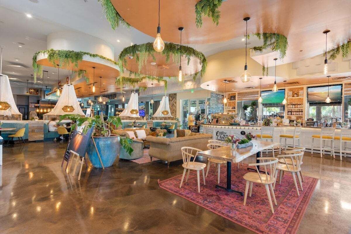 Un café moderne doté d’un espace de repos central, de plantes suspendues et d’un comptoir de bar.