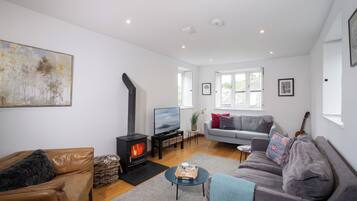 Televisión y chimenea