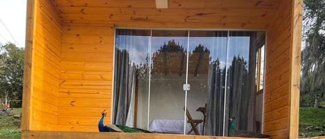 المنطقة المحيطة بالمنشأة