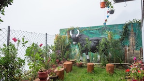 Un giardino con un murale di un toro, piante in vaso e una recinzione.