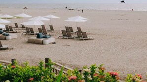 Ein Strand mit Reihen von Liegestühlen und Sonnenschirmen, ein freier Blick auf den Ozean und ein Vogel im Flug in der Ferne.