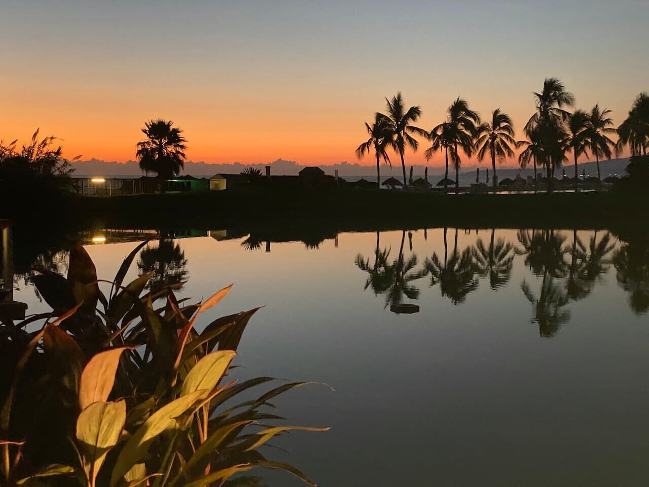 A serene sunset view with palm trees reflected in calm water, a clear sky, and a distant horizon.