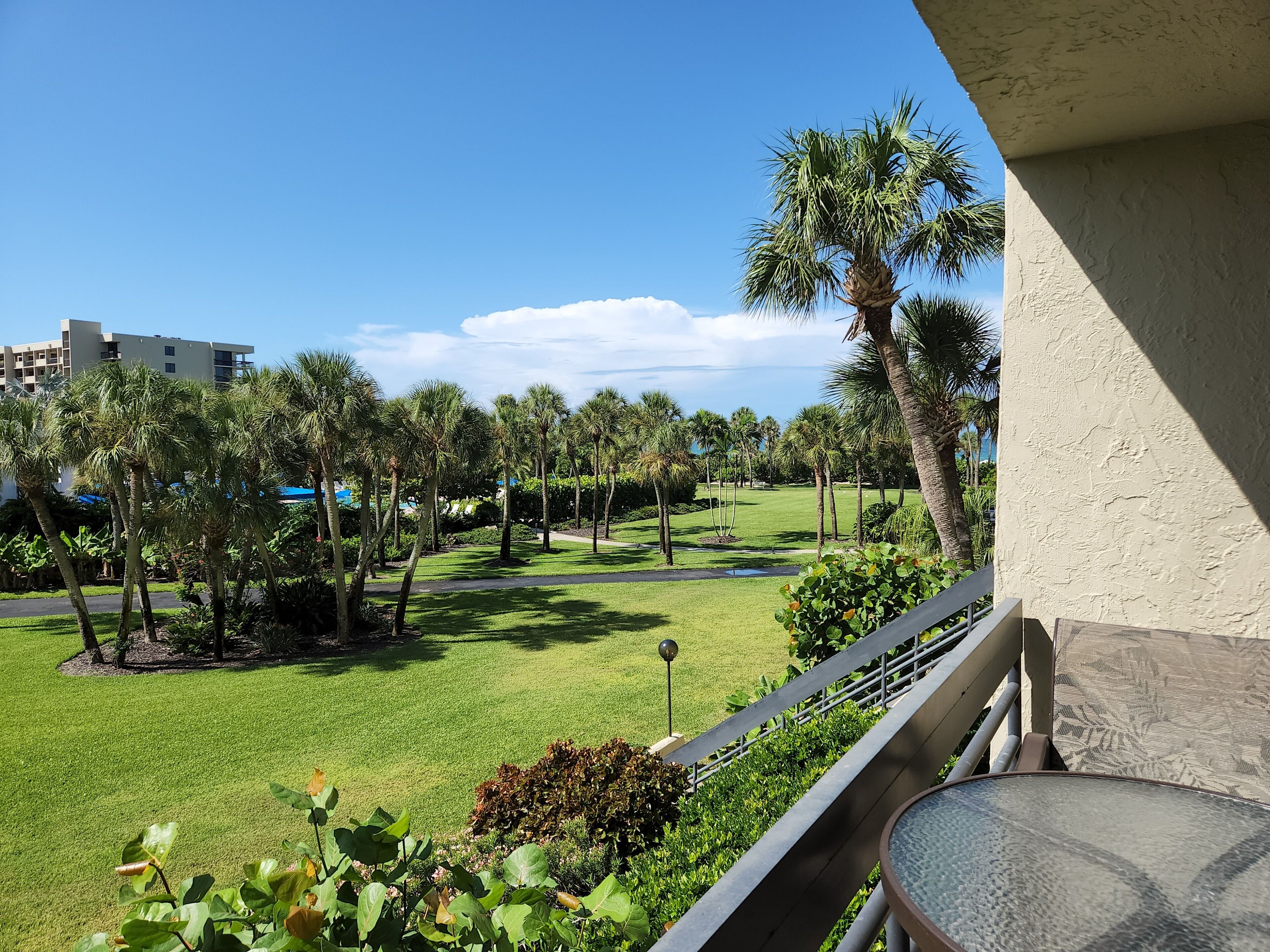 A balcony with a view of a well-maintained lawn, palm trees, and a distant building.