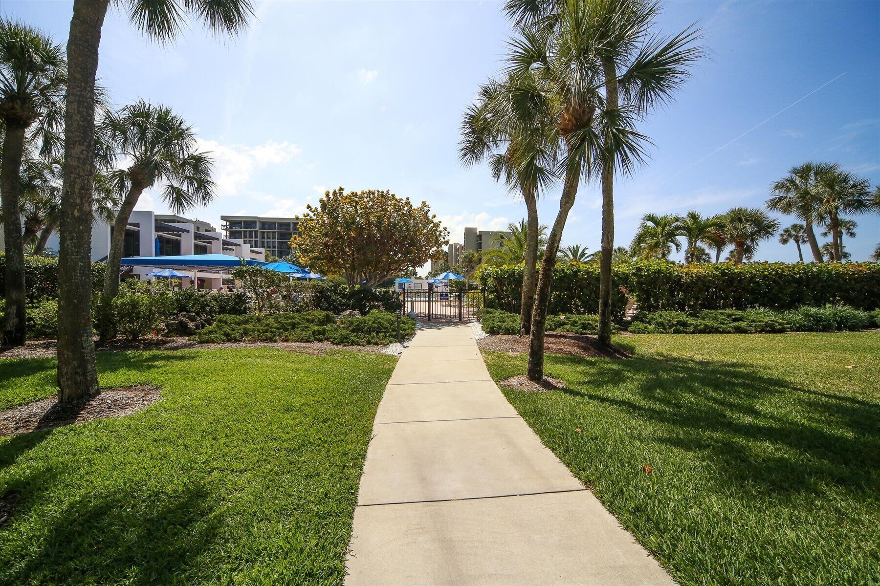 A pathway leading to a building with a modern design, surrounded by palm trees and well-maintained grass.