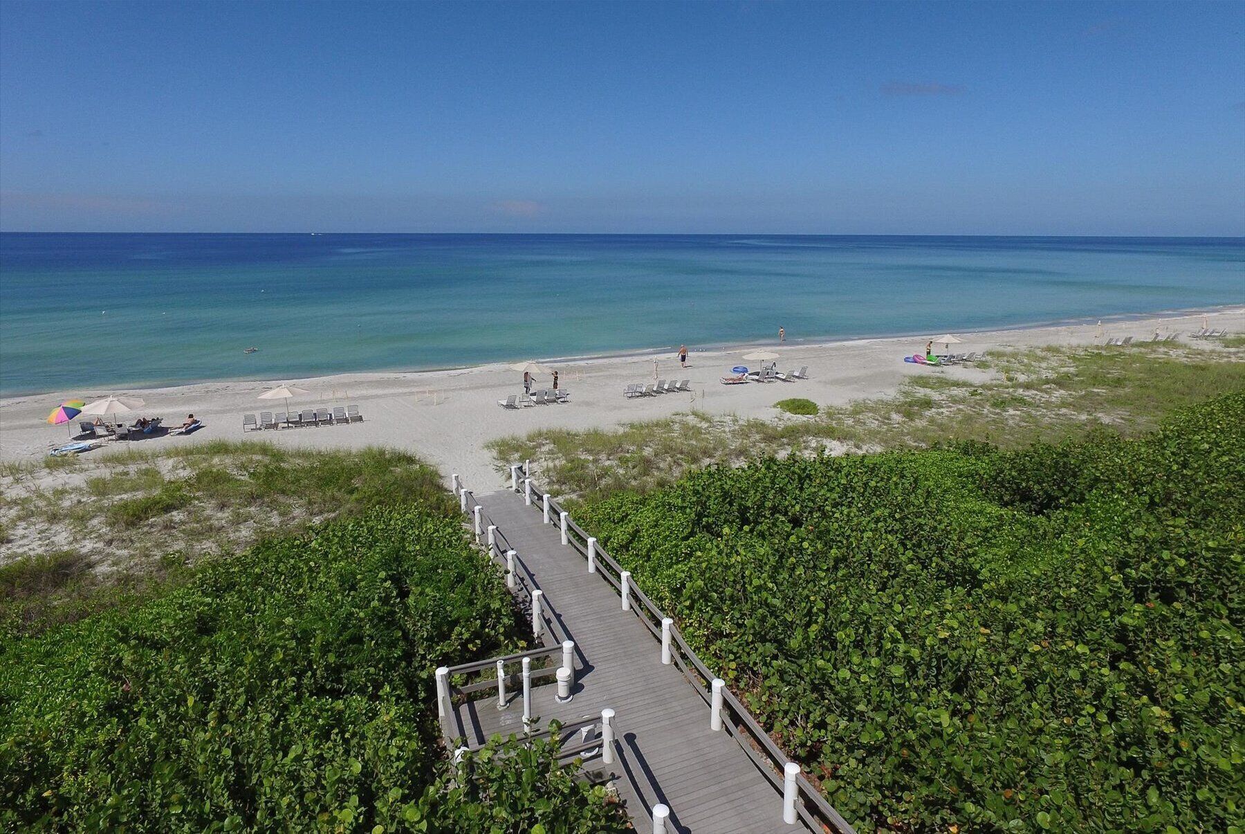 Ein Strand mit einer Holzpromenade, die zum Ufer führt, umgeben von viel Grün.