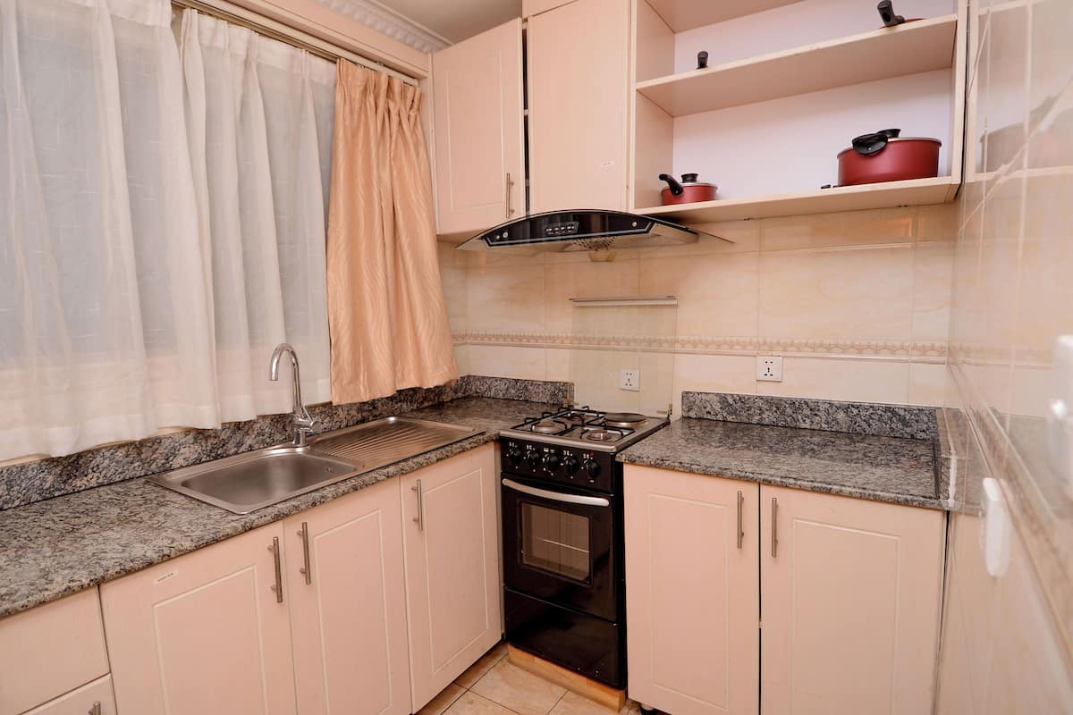 A kitchen with a gas stove, sink, and cabinets.