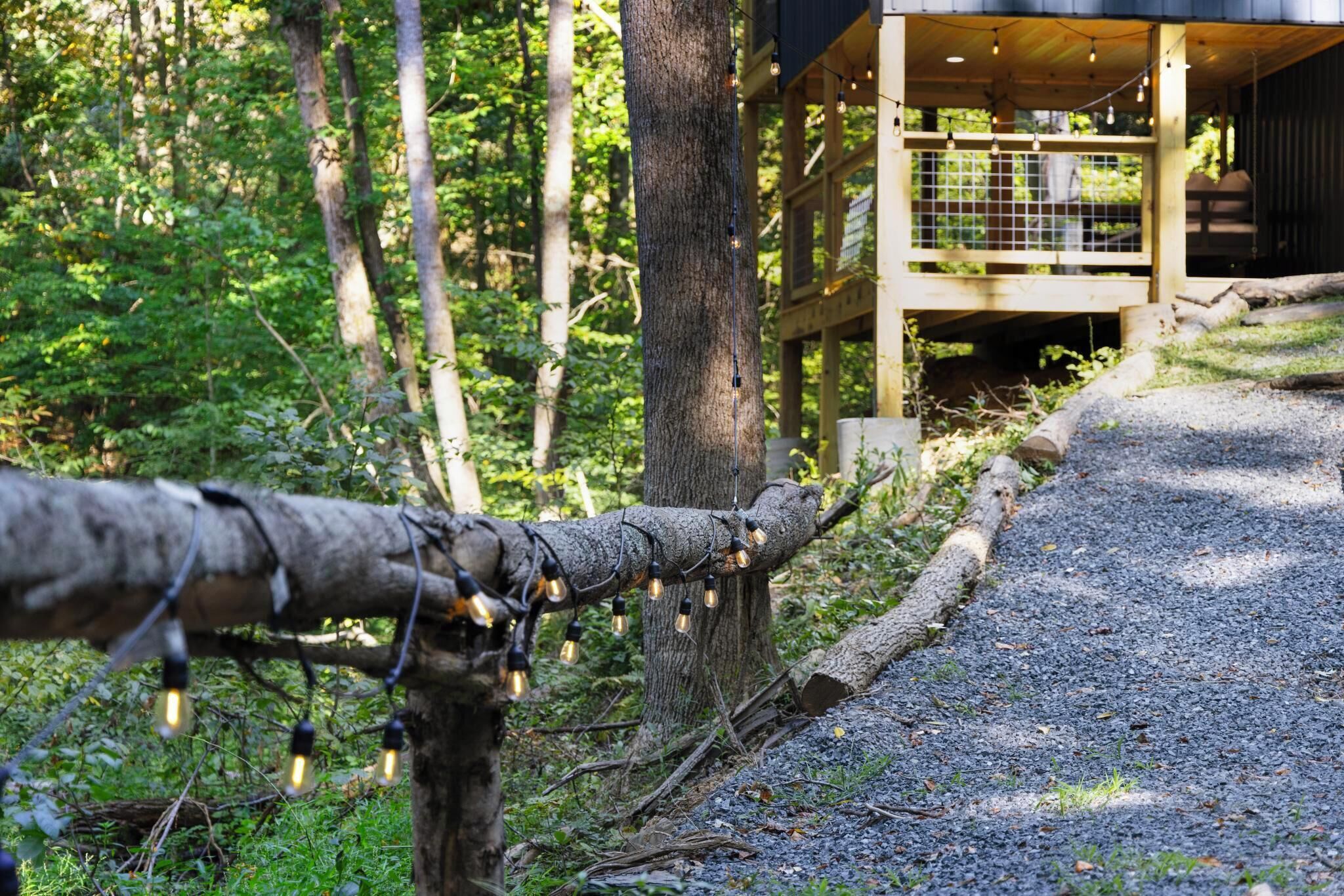 المنطقة المحيطة بالمنشأة