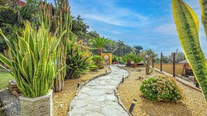 A stone pathway leading through a garden with various plants and a small structure in the distance.