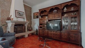Un salon traditionnel avec une cheminée, un téléviseur et un meuble en bois doté de portes en verre.