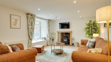 Smart TV, fireplace, books