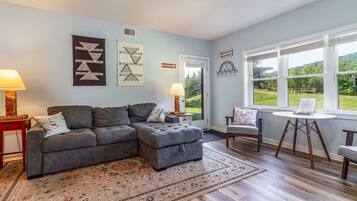 智能电视、壁炉、书