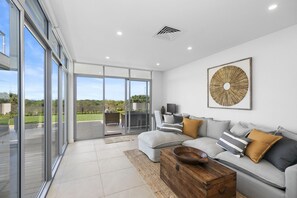 Smart TV, fireplace, books, stereo