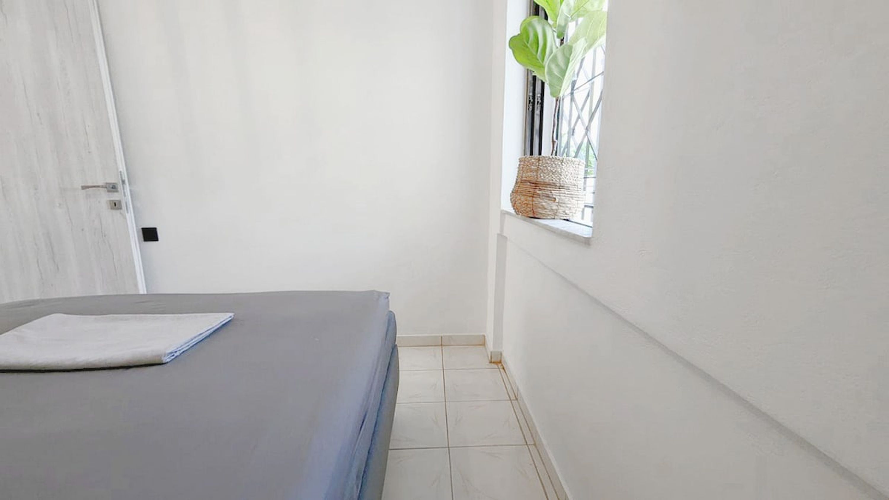 Une petite pièce avec un lit, une fenêtre ornée d’une plante et une porte blanche.