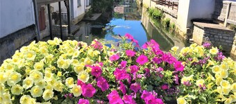 Appartement de Caractère Tonnerre