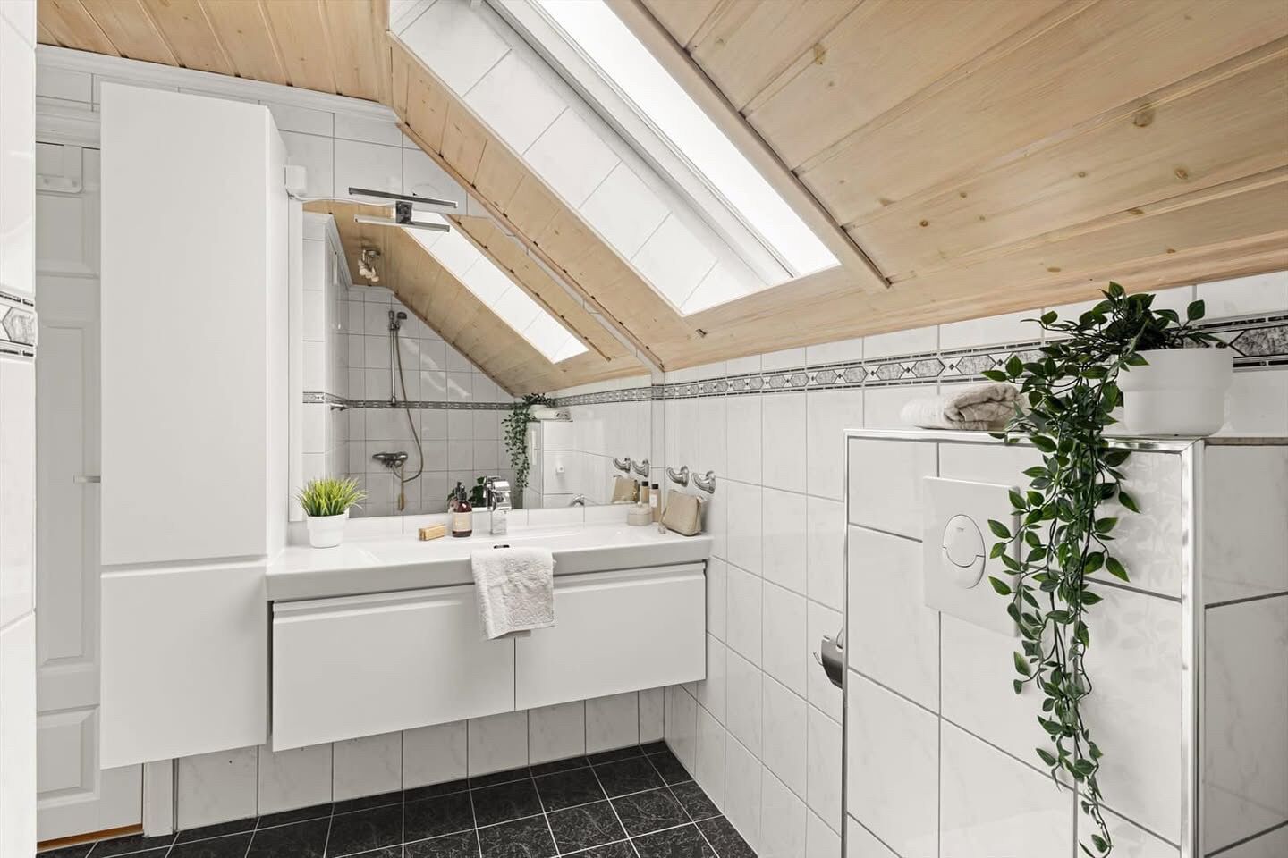 Hårføner, håndklær, såpe og sjampo