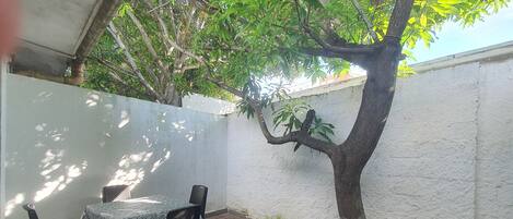 Apartment | Terrace/patio