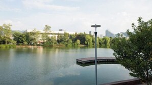 Un lago sereno con un muelle, rodeado de vegetación y edificios modernos al fondo.