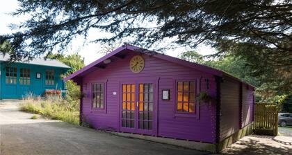 Freesia Cottage, Cardigan