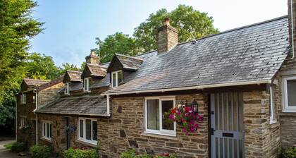 Freesia Cottage, Cardigan