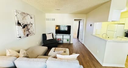 Charming 1-bedroom apartment College Station.