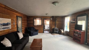 Smart-TV, Kamin