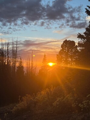 Ein Sonnenuntergang über einem Wald, Bäume sind als Silhouette am Himmel erkennbar.