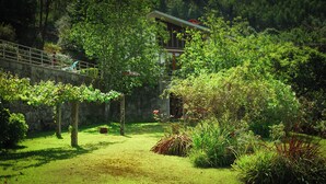 Un jardin luxuriant, avec un mur de pierre, un banc en bois et un bâtiment en arrière-plan.