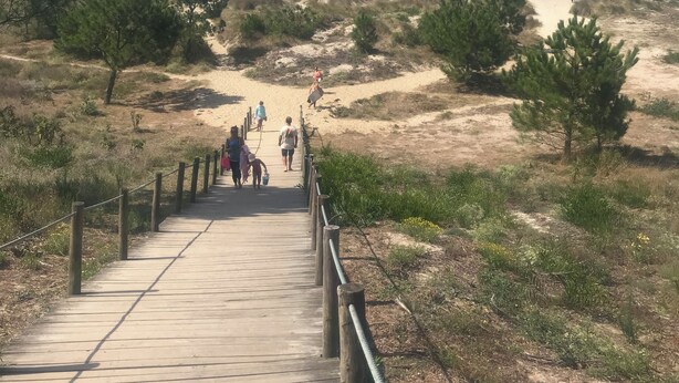 Une promenade en bois qui mène à une plage bordée de dunes et dotée d’une végétation clairsemée.