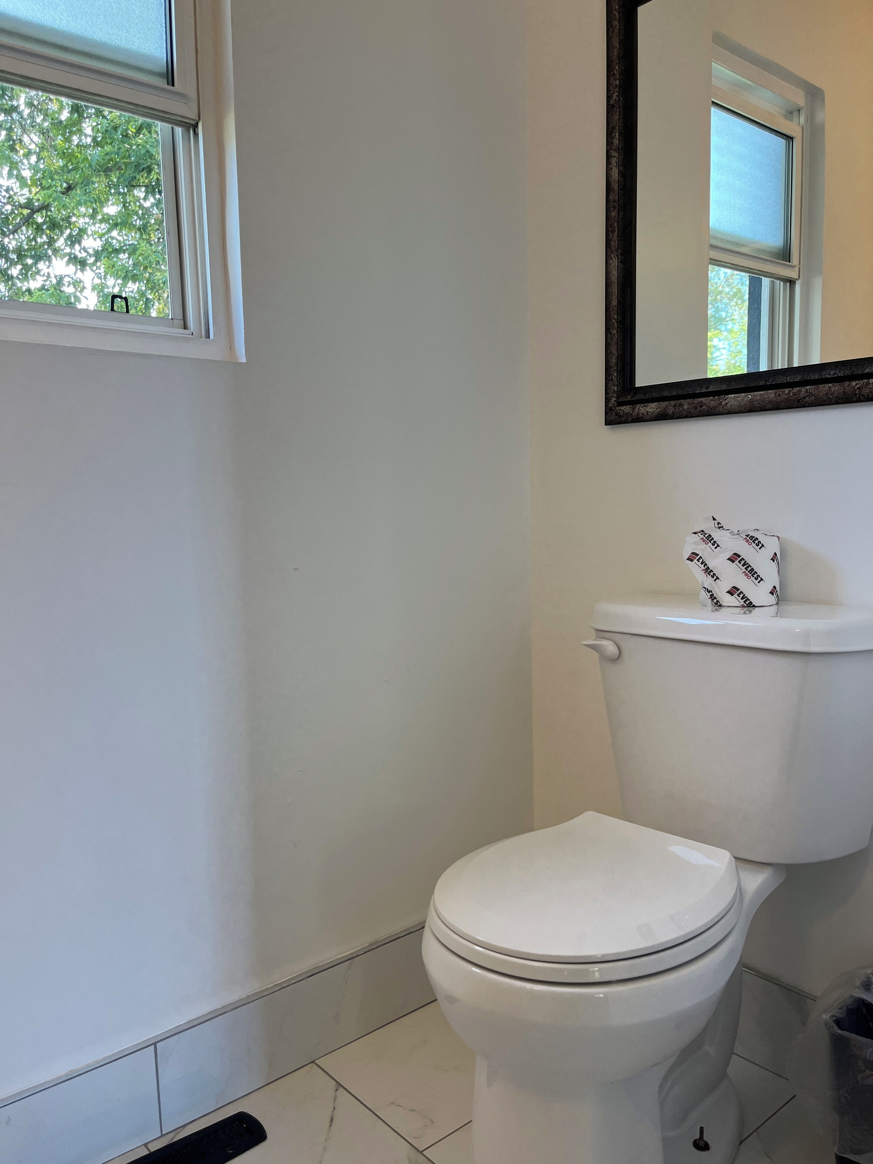 A bathroom with a toilet, a window, and a mirror.