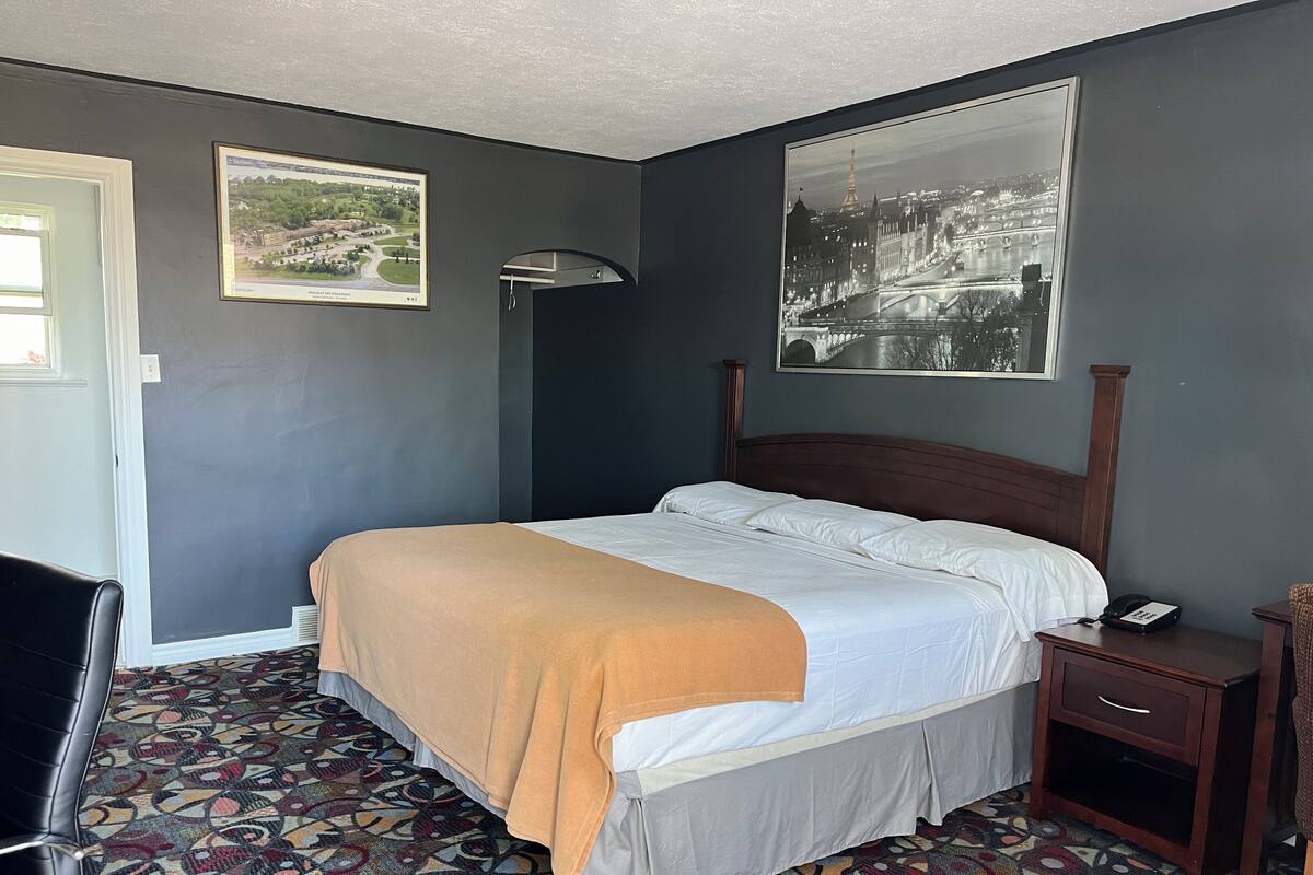 Una habitación de hotel con una cama, una alfombra estampada, una mesita de noche y dos cuadros en la pared.