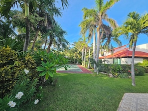 Stroll through lush gardens featuring tropical plants and palm trees along a paved pathway.