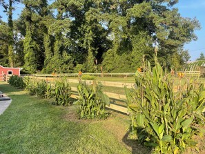 Overnattingsstedets uteområder