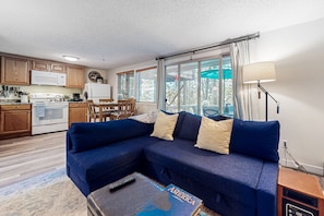 TV, fireplace - Dog Friendly condo w/ spacious deck, near hiking trails and ski resorts (Sugar Mountain)