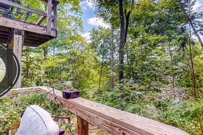 Dog Friendly condo w/ spacious deck, near hiking trails and ski resorts