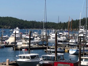 Marina - Waterfront 3 Bedroom with Kayaks, Dock & Bikes! (Friday Harbor)