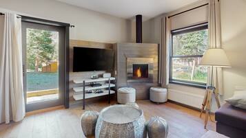 Télévision, cheminée, lecteur de DVD