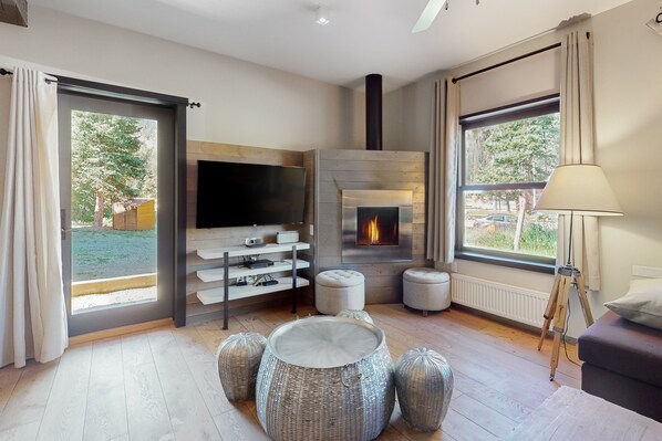 Televisión, chimenea y reproductor de DVD 