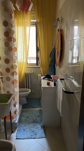 Shower, hair dryer, bidet, towels